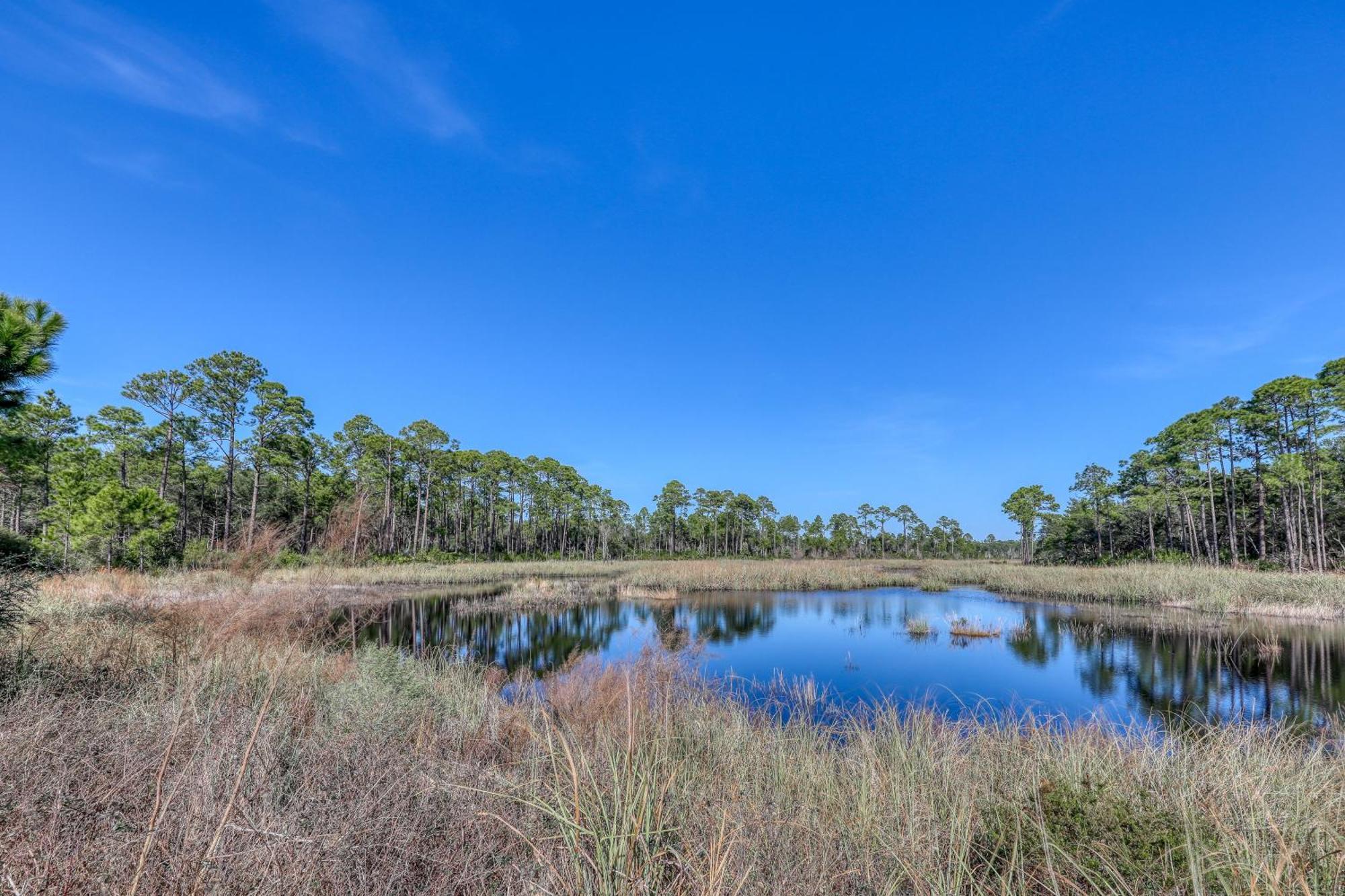 Village Of South Walton B247 Inlet Beach Extérieur photo